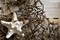 Fishing Net Decor – Real Repurposed 5x7ft Fishing Net for Wall with 5 Finger Starfish 3"-4", Beach Party & Nautical Decorations – Authentic Fish Netting for Pirate & Mermaid Themes – Indoor Outdoor Coastal Home Décor